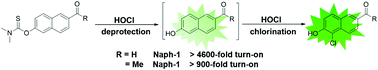 Graphical abstract: Ultra-sensitive fluorescent probes for hypochlorite acid detection and exogenous/endogenous imaging of living cells