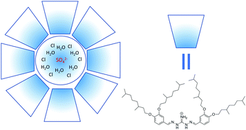 Graphical abstract: Surprisingly selective sulfate extraction by a simple monofunctional di(imino)guanidinium micelle-forming anion receptor