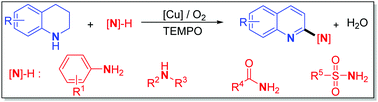 Graphical abstract: Direct α-C–H amination using various amino agents by selective oxidative copper catalysis: a divergent access to functional quinolines