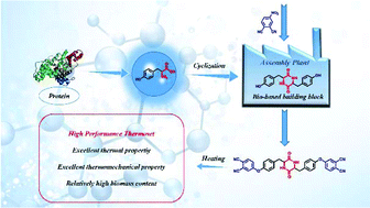 Graphical abstract: Renewable protein-based monomer for thermosets: a case study on phthalonitrile resin