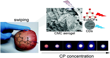 Graphical abstract: Wearable glove sensor for non-invasive organophosphorus pesticide detection based on a double-signal fluorescence strategy