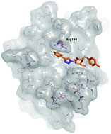 Graphical abstract: Substituted polyfluoroaryl interactions with an arginine side chain in galectin-3 are governed by steric-, desolvation and electronic conjugation effects
