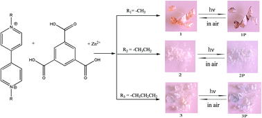 Graphical abstract: Effect of counter cations on the photochromic behaviors of three Zn–viologen complexes