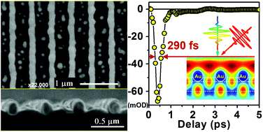 Graphical abstract: Ultrafast optical switching based on mutually enhanced resonance modes in gold nanowire gratings