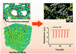Graphical abstract: Elastomeric conductive hybrid hydrogels with continuous conductive networks