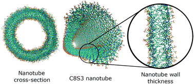 Graphical abstract: Structural characterization of supramolecular hollow nanotubes with atomistic simulations and SAXS
