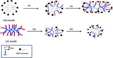Graphical abstract: Interaction between sodium dodecylsulfate (SDS) and pluronic L61 in aqueous medium: assessment of the nature and morphology of the formed mixed aggregates by NMR, EPR, SANS and FF-TEM measurements
