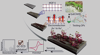 Graphical abstract: Metal Organic Framework steered electrosynthesis of anisotropic gold nanorods for specific sensing of organophosphate pesticides in vegetables collected from the field