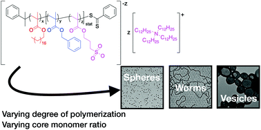Graphical abstract: Influence of an ionic comonomer on polymerization-induced self-assembly of diblock copolymers in non-polar media