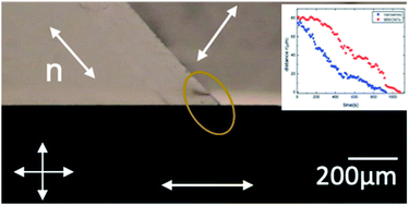 Graphical abstract: Difference in the interaction of nano-diameter rod and tubular particles with a disclination line in a nematic liquid crystal