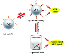 Graphical abstract: Organic–inorganic hybrid liquid crystals of azopyridine-enabled halogen-bonding towards sensing in aquatic environment