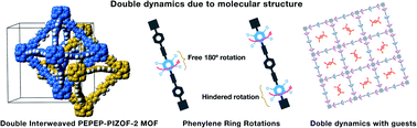 Graphical abstract: Multiple rotational rates in a guest-loaded, amphidynamic zirconia metal–organic framework
