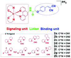 Graphical abstract: Structure-guided discovery of a luminescent theranostic toolkit for living cancer cells and the imaging behavior effect