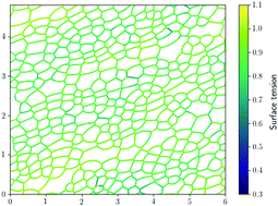 Graphical abstract: Micro-mechanical prediction of the effect of surfactant concentration and external friction on the visco-elasto-plastic response of an aqueous foam