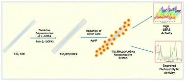 Graphical abstract: Silver nanoparticle-decorated titanium dioxide nanowire systems via bioinspired poly(l-DOPA) thin film as a surface-enhanced Raman spectroscopy (SERS) platform, and photocatalyst
