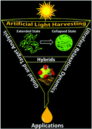 Graphical abstract: Implications of relaxation dynamics of collapsed conjugated polymeric nanoparticles for light-harvesting applications