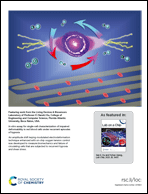 Graphical abstract: Inside back cover
