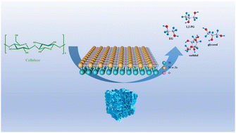 Graphical abstract: Ni-Based multifunctional catalysts derived from layered double hydroxides for the catalytic conversion of cellulose to polyols