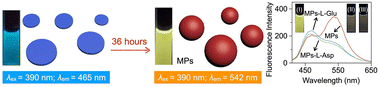 Graphical abstract: Efficient detection of l-aspartic acid and l-glutamic acid by self-assembled fluorescent microparticles with AIE and FRET activities
