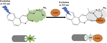 Graphical abstract: Fluorescence determination of Fe(iii) in drinking water using a new fluorescence chemosensor