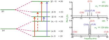 Graphical abstract: Quantifying quadrupole effects in the NMR spectra of spin-1/2 nuclei in rotating solids