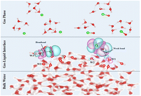 Graphical abstract: The effects of the gas–liquid interface and gas phase on Cl/ClO radical interaction with water molecules