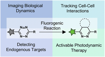 Graphical abstract: Design strategies for tetrazine fluorogenic probes for bioorthogonal imaging