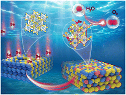 Graphical abstract: Heteroanion induced structural asymmetricity centered on Ru sites switches the rate-determining step of acid water oxidation