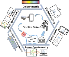 Graphical abstract: Recent reports on the sensing strategy and the On-site detection of illegal drugs
