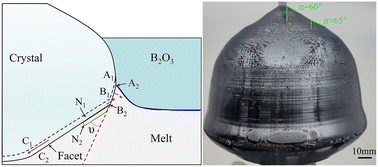 Graphical abstract: Dynamics analysis of twin formation for InP and preparation of 6 inch InP single crystals
