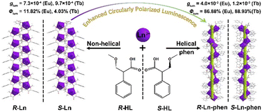 Graphical abstract: Amplified circularly polarized luminescence of chiral lanthanide-based chains through helical assembly