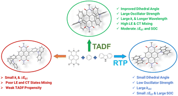 Graphical abstract: Theoretical elucidation of the effect of the linkage and orientation of carbazole and naphthalenediimide on the TADF and RTP propensities