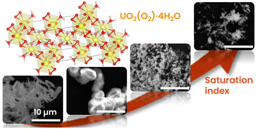 Graphical abstract: Precipitation of morphology-controlled uranium(vi) peroxide in nitric acid media