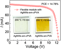 Graphical abstract: Enhanced moisture and thermal stability of transparent electrodes via crosslinking for large-area flexible organic photovoltaic modules