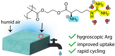 Graphical abstract: Arginine-functionalised hydrogels as a novel atmospheric water-harvesting material