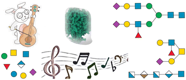 Graphical abstract: Recent progress in chemoenzymatic synthesis of human glycans