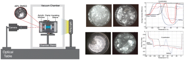 Graphical abstract: An isochoric optical platform for interrogation of aqueous glass formation processes