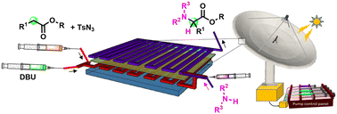 Graphical abstract: Thermal/photochemical micro-flow probe system for direct C–H bond functionalization of biologically active molecules