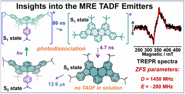 Graphical abstract: Photophysics and photochemistry of thermally activated delayed fluorescence emitters based on the multiple resonance effect: transient optical and electron paramagnetic resonance studies