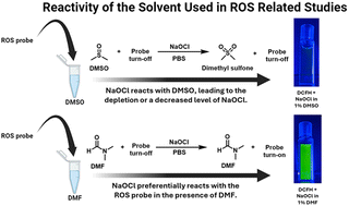 Graphical abstract: A critical factor in reactive oxygen species (ROS) studies: the need to understand the chemistry of the solvent used: the case of DMSO