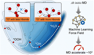 Graphical abstract: Dynamics and kinetics exploration of the oxygen reduction reaction at the Fe–N4/C–water interface accelerated by a machine learning force field