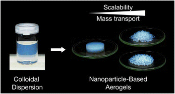 Graphical abstract: Shaping nanoparticle-based aerogels for efficient light-driven catalysis