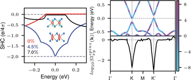 Graphical abstract: Strain-engineering quantized spin Hall conductivity in sliding multiferroic RuCl2 bilayers
