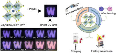 Graphical abstract: All-inorganic lead-free double perovskite Cs2NalnCl6 for fiber-based optical temperature sensing for temperature and safety monitoring