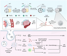 Graphical abstract: A pH-responsive nanoplatform enhancing tumor therapy via calcium overload-induced oxidative stress to potentiate phototherapy and chemotherapy
