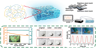 Graphical abstract: Anti-swelling dual-network zwitterionic hydrogels with excellent mechanical properties for flexible supercapacitors and sensors