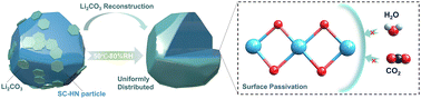 Graphical abstract: Revealing unusual storage failure of single-crystal high-nickel cathodes during high-temperature and high-humidity exposure