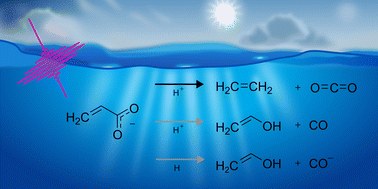 Graphical abstract: The primary photolysis of aqueous acrylate