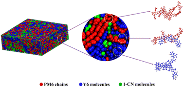 Graphical abstract: Organic photovoltaics: determining the impact of the 1-chloronaphthalene additive in the PM6:Y6 blends from multi-scale simulations