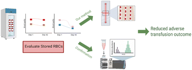 Graphical abstract: Surface acoustic wave hemolysis assay for evaluating stored red blood cells
